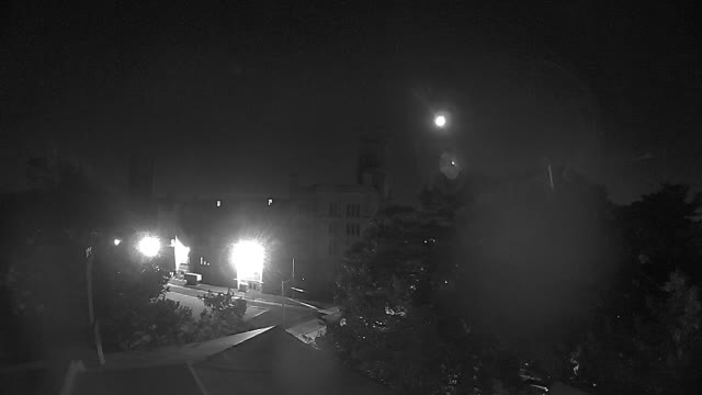 Ring camera snapshot