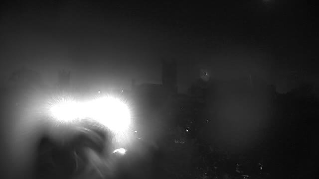 Ring camera snapshot
