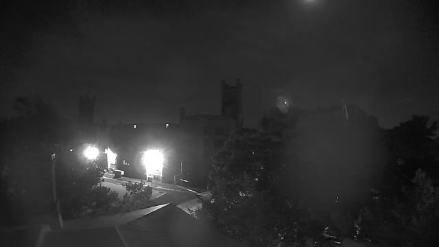 Ring camera snapshot
