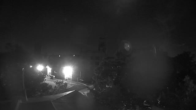 Ring camera snapshot