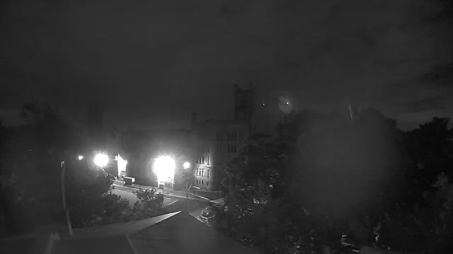Ring camera snapshot