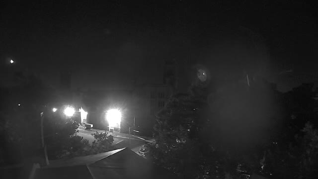 Ring camera snapshot