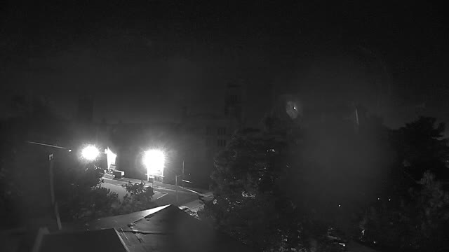 Ring camera snapshot