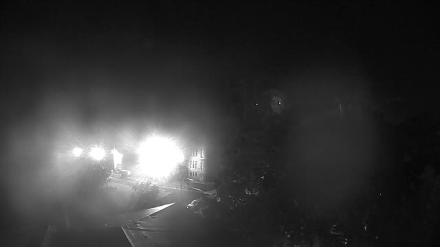Ring camera snapshot