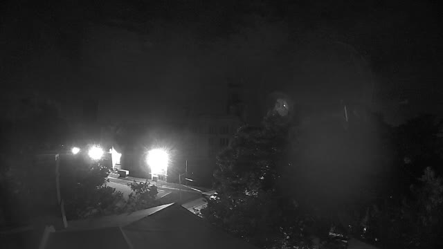 Ring camera snapshot